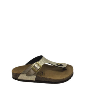 44D9B0D9 A211 4E2B 9A47 EE9627E1DBE2