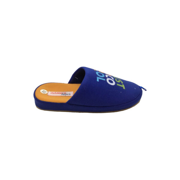 Χειμερινές Παντόφλες Παιδικές Αγόρι adams 895-23566 BLUE - Image 2