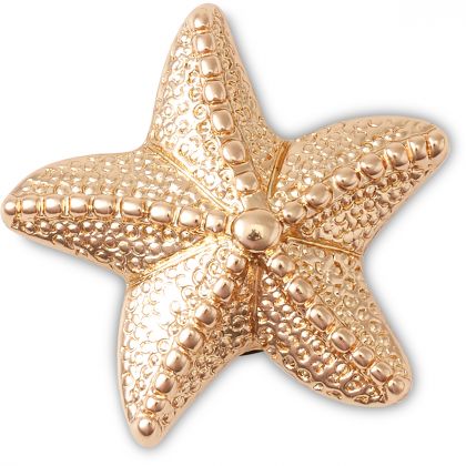 Jibbitz™ Charms Crocs 10011621 Gold Star Fish