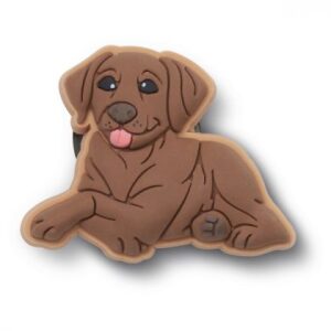 Jibbitz™ Charms Crocs 10014892 Brown Lab Puppy